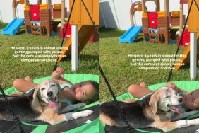 Rescue Dog Spent Years Without Comfort Learns What Love Feels Like With Little Girl