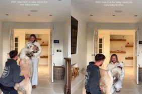 Dog Has Sweetest Reaction To Meeting His New Furry Brother