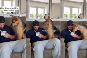 Rescue Dog Contemplates for a Long Time Before Eating Dad's Food While Dad's Asleep