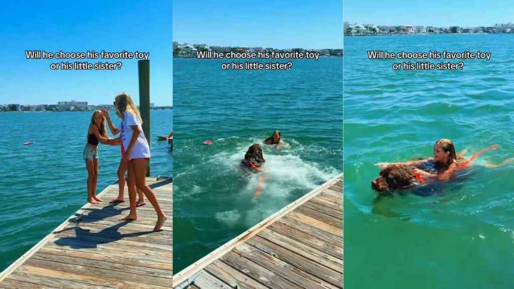 Big Dog Rushes To Protect Little Girl Because Nothing Else Matters
