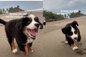 Dog Has Been Running the Same Way Since Puppy Days