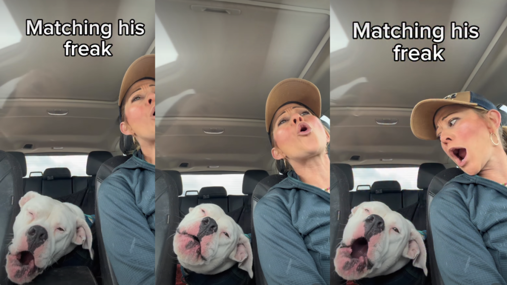 Dog’s Joyous Singing Is Perfectly Matched by His Owner