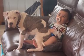 Dog Sits on Baby’s Lap & Makes Him Giggle With Happiness