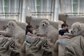 Dog Grew up With Little Boy & Now They Share Unbreakable Bond