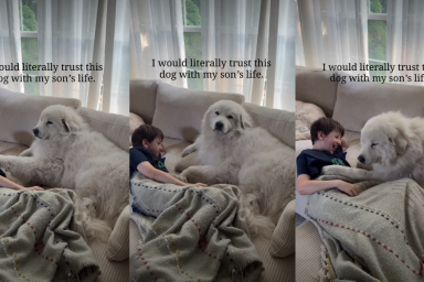 Dog Grew up With Little Boy & Now They Share Unbreakable Bond