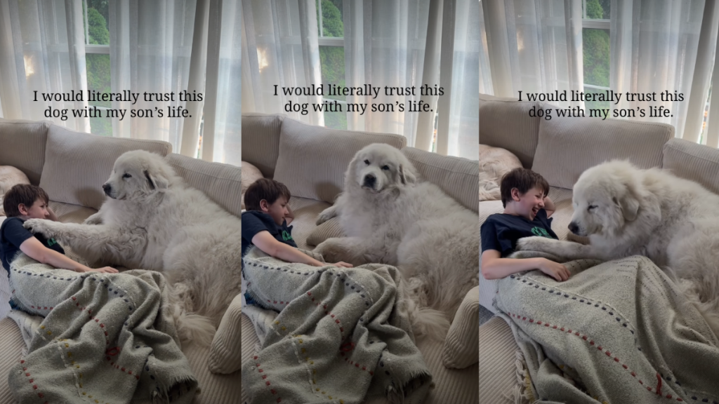 Dog Grew up With Little Boy & Now They Share Unbreakable Bond