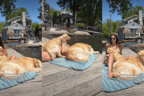 Golden Retrievers Soak up the Sun While Cuddling With Mom