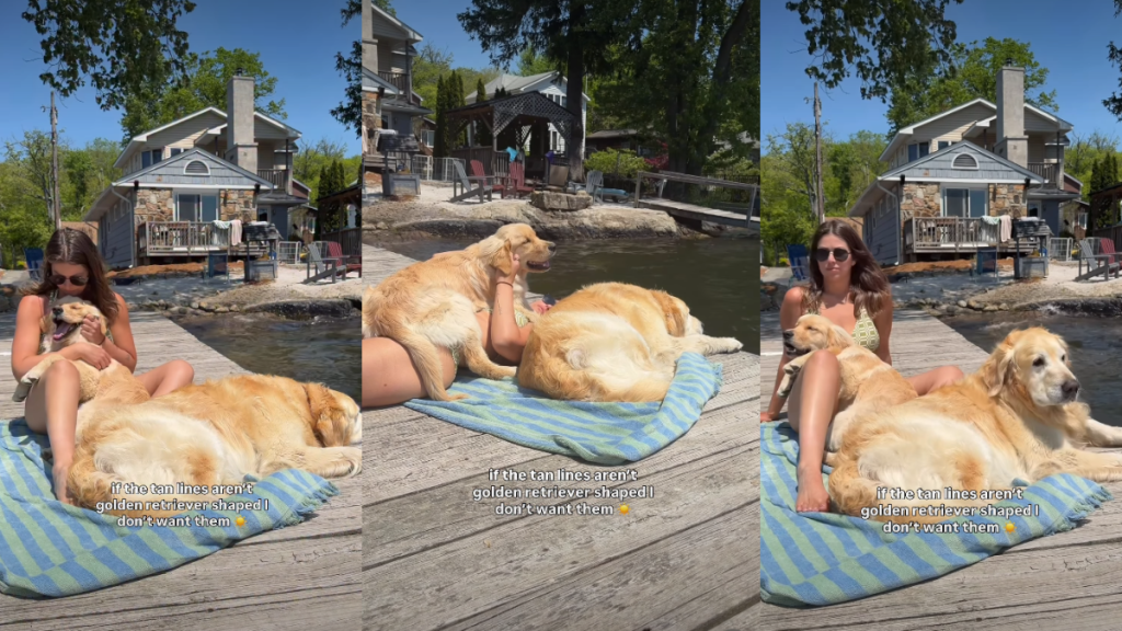 Golden Retrievers Soak up the Sun While Cuddling With Mom