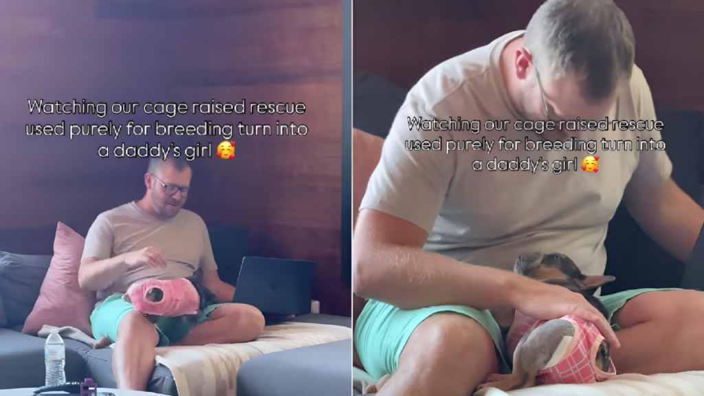 Rescue Dog Raised in a Cage Finally Gets To Be Dad’s Little Girl Now