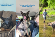 Rescue Dog Looks Sad, So Mom & Dad Decide To Give Him the Best Day Ever