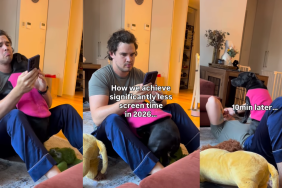 Dog Climbs Onto Dad’s Shoulder for a Hug & Starts Snuggling on Top of Him