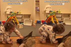 Dog & Little Girl Remind Everyone ‘Love Doesn’t Need Words'
