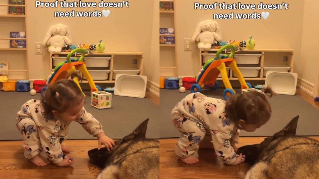 Dog & Little Girl Remind Everyone ‘Love Doesn’t Need Words'