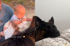 Dog Has Sweetest Reaction To Meeting His New Furry Brother