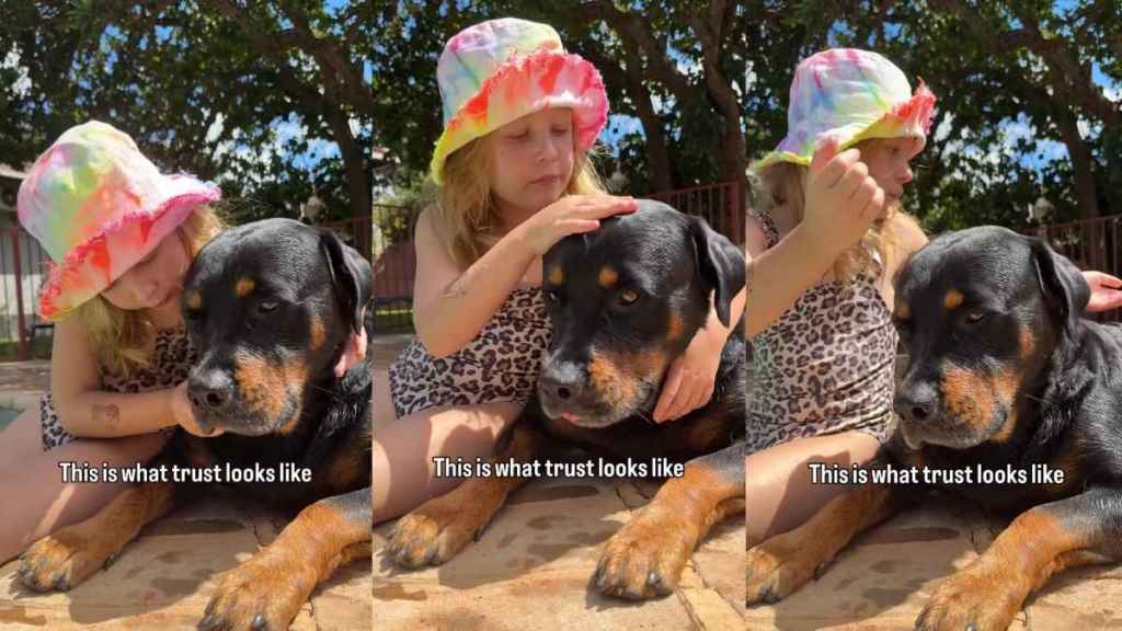Dog & Little Girl Grow up Together, Finding Trust & Safety in Each Other