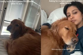 Golden Retriever Breaks One Major Rule When Owner Is Sick