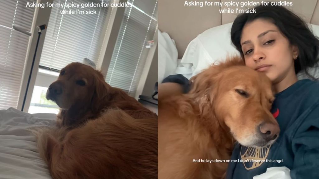 Golden Retriever Breaks One Major Rule When Owner Is Sick