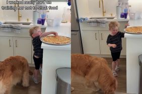 Dog Finds Perfect Partner in Crime as Little Boy Sneaks Her Food