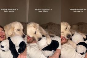 Dog Skips ‘Hi Hello’ & Goes Straight to Cuddle Dad