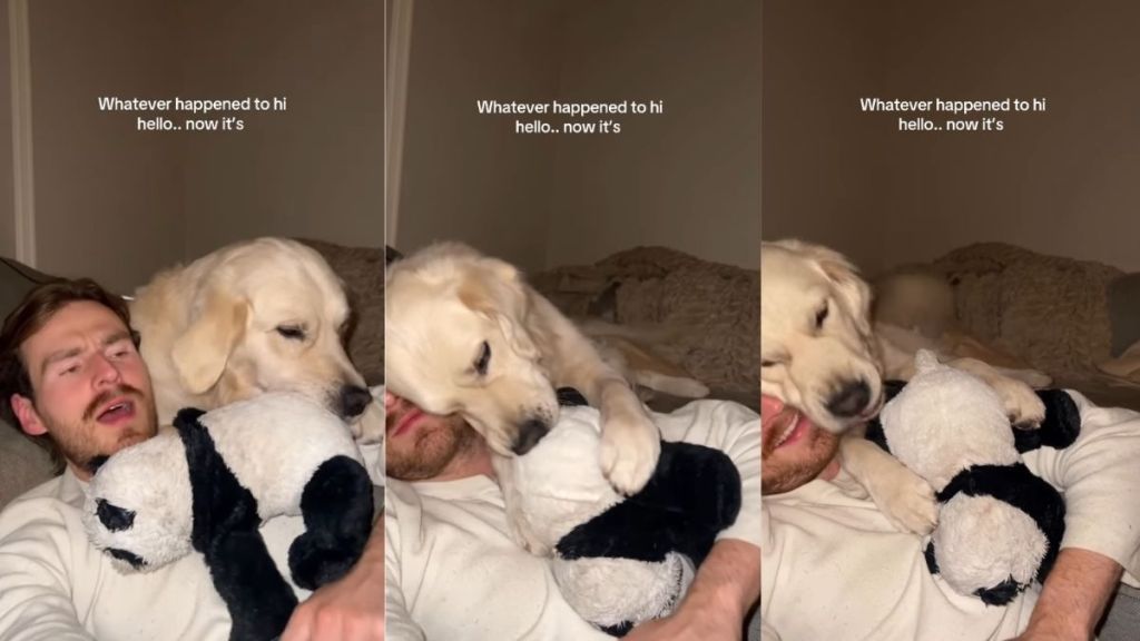 Dog Skips ‘Hi Hello’ & Goes Straight to Cuddle Dad
