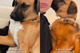Rescue Dog Clings to Mom Like a Little Baby, Afraid She Is Abandoning Him