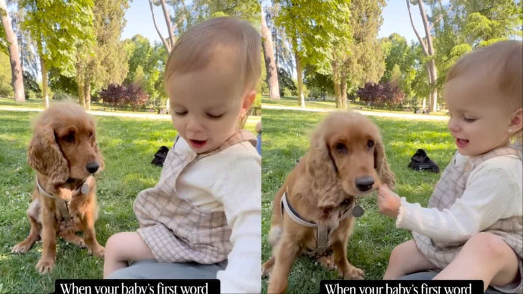 Owner Reveals Baby’s First Words To Be Dog’s Name