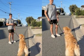 Dog Beats Dad in ‘Loyalty Test’ for Mom