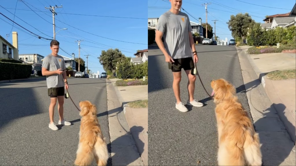 Dog Beats Dad in ‘Loyalty Test’ for Mom