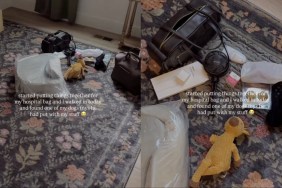 Golden Retriever Puts Toy in Pregnant Mom’s Things for Big Day at Hospital