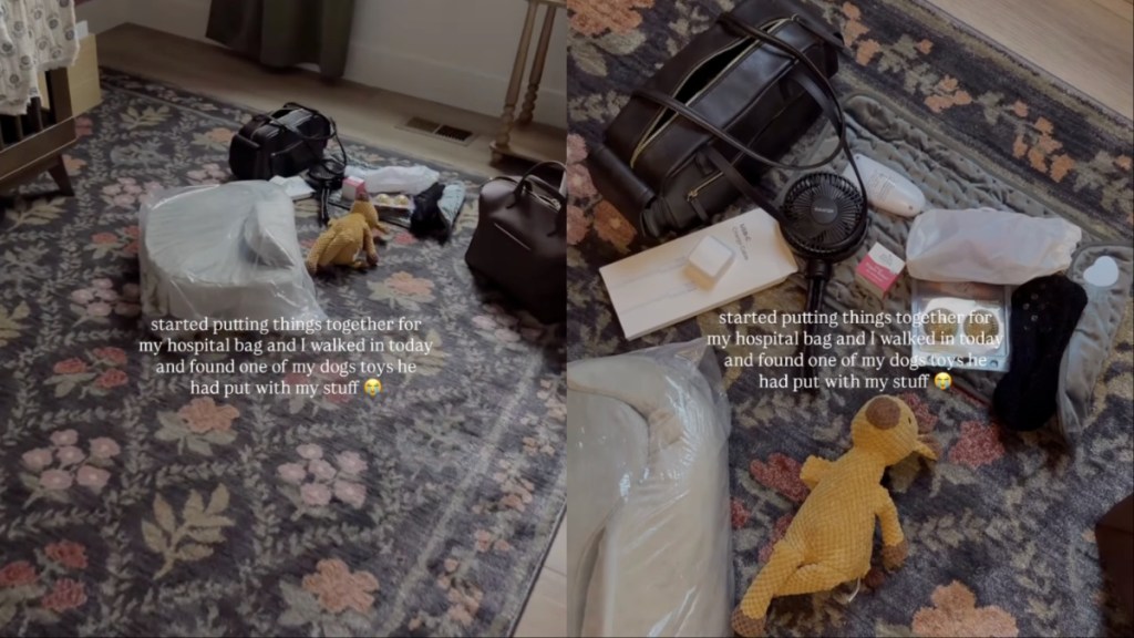 Golden Retriever Puts Toy in Pregnant Mom’s Things for Big Day at Hospital