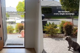 Dog Becomes the Reason Little Girl Sits Outside the House Every Morning