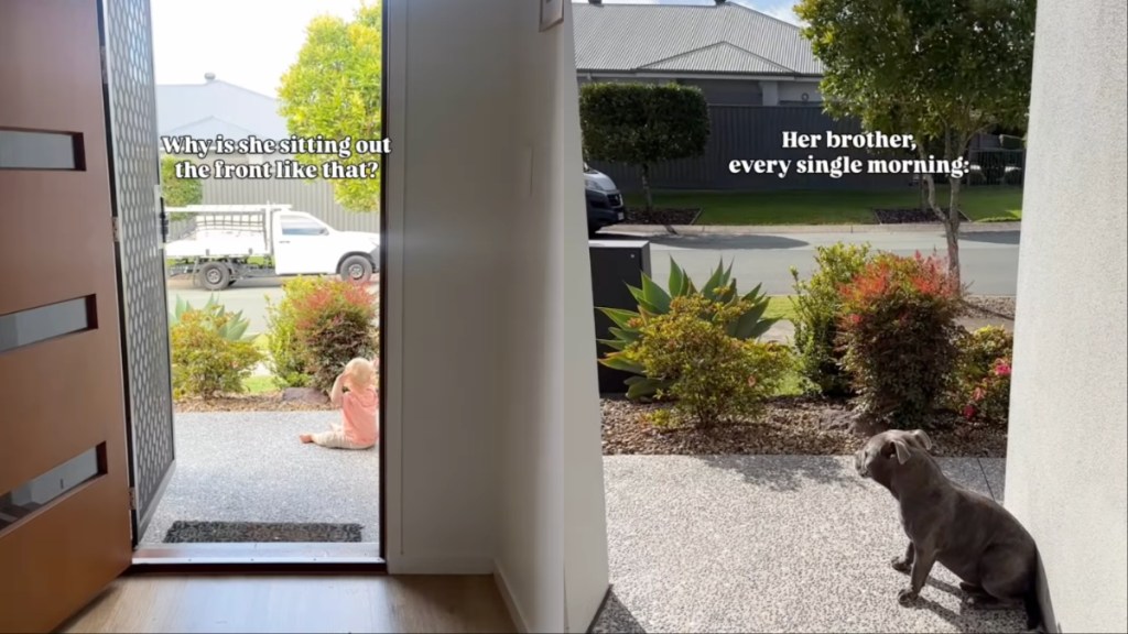 Dog Becomes the Reason Little Girl Sits Outside the House Every Morning
