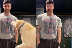 Labrador Can’t Stop Reacting Every Time Dad Says ‘Go for a Ride’
