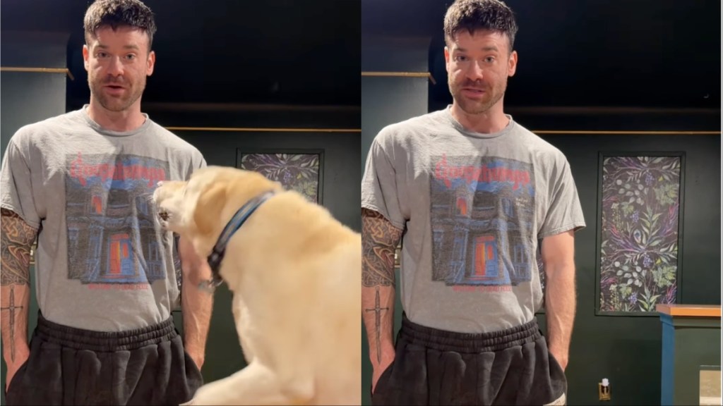 Labrador Can’t Stop Reacting Every Time Dad Says ‘Go for a Ride’