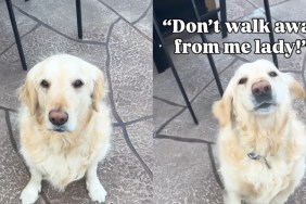 Dog’s Reaction When Mom Exposes His ‘Biggest Fear’ Is Priceless