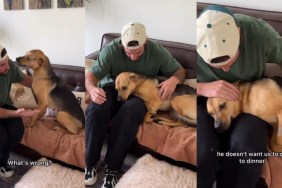 Rescue Dog Gets Sad Seeing Dad Leave, Until He Decides To Stay at Home