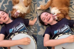 Dog Snuggles Owner Through Every Note & Doesn’t Mind Mistakes