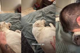 Dog Appears a Bit Unimpressed After Dad 'Saves' Her Life