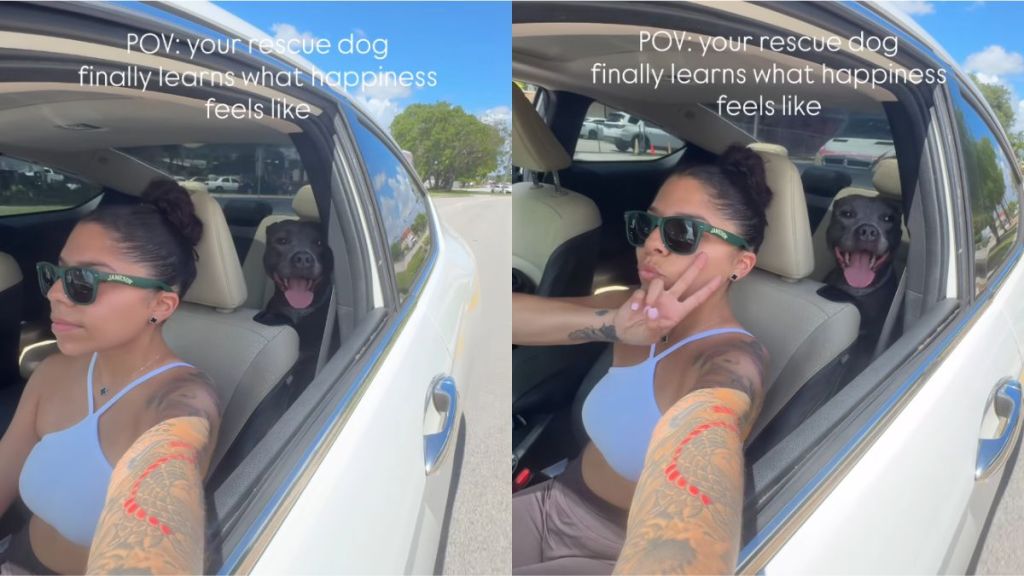 Rescue Dog Once Unsure She’d Survive Shelter Knows Happiness With ‘Hero’ Mom