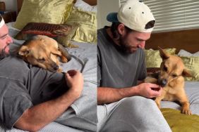Rescue Dog Listens When Dad Says It’s Okay, Then Gets Cuddles & Treats