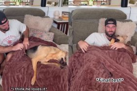 Rescue Dog Definitely Approves of New ‘Cuddle Blankie’ His Dad Got for Them