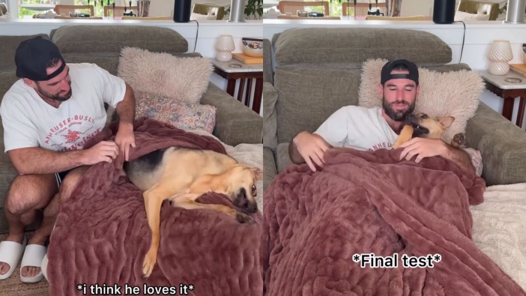 Rescue Dog Definitely Approves of New ‘Cuddle Blankie’ His Dad Got for Them