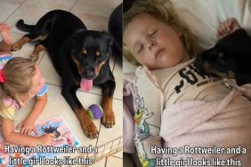 Dog & Little Girl Have Been Best Friends Since First Day