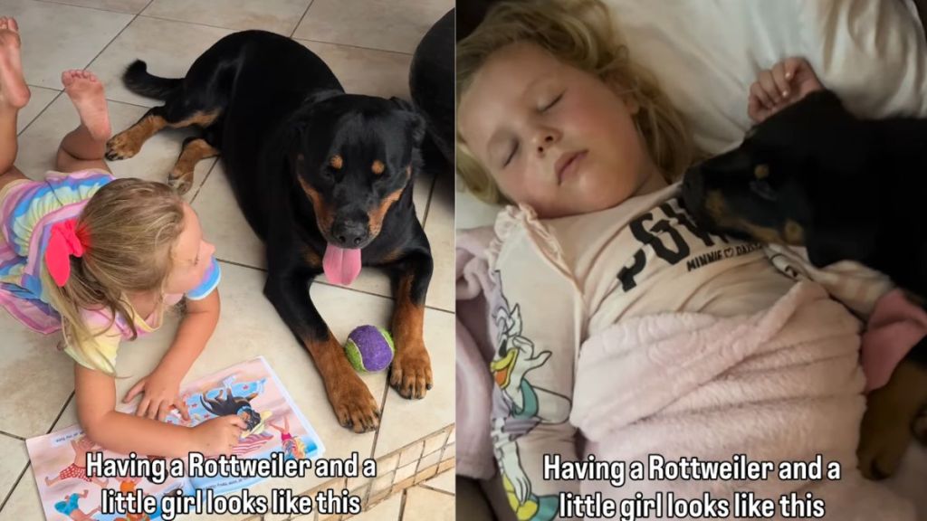 Dog & Little Girl Have Been Best Friends Since First Day