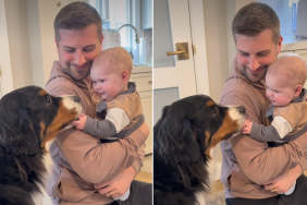 dog video