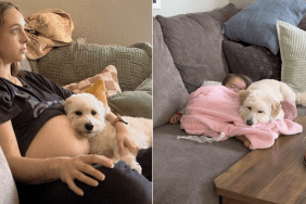 dog mom baby video