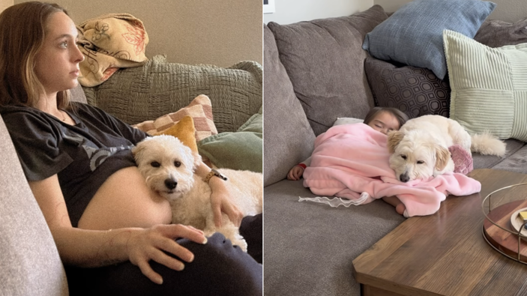 dog mom baby video