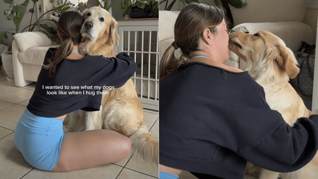 dog mom hugs