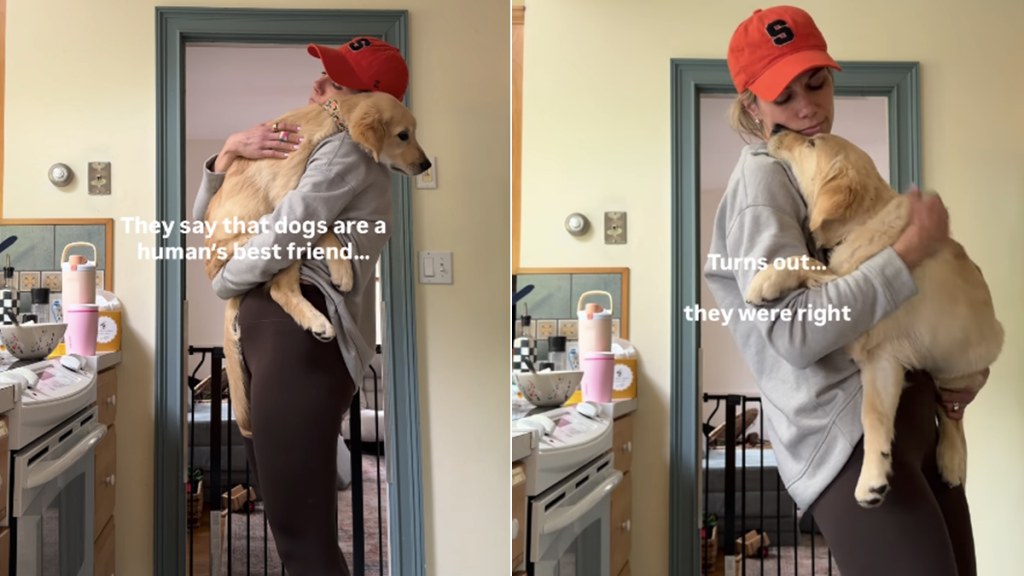 golden retriever puppy mom