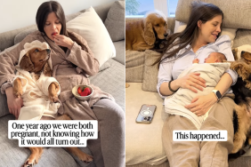 dog mom pregnant babies